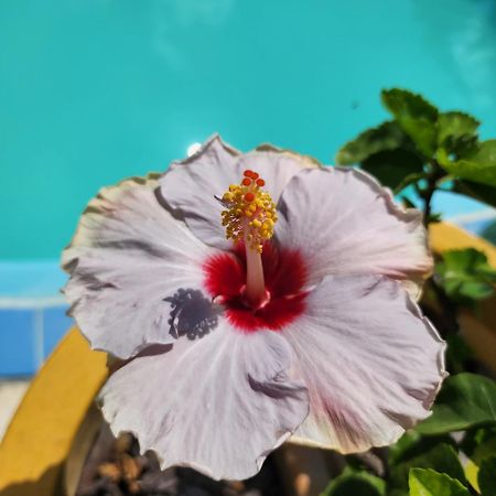 Mandala Dreams Pousada E Portal Holistico Maceio  Екстер'єр фото