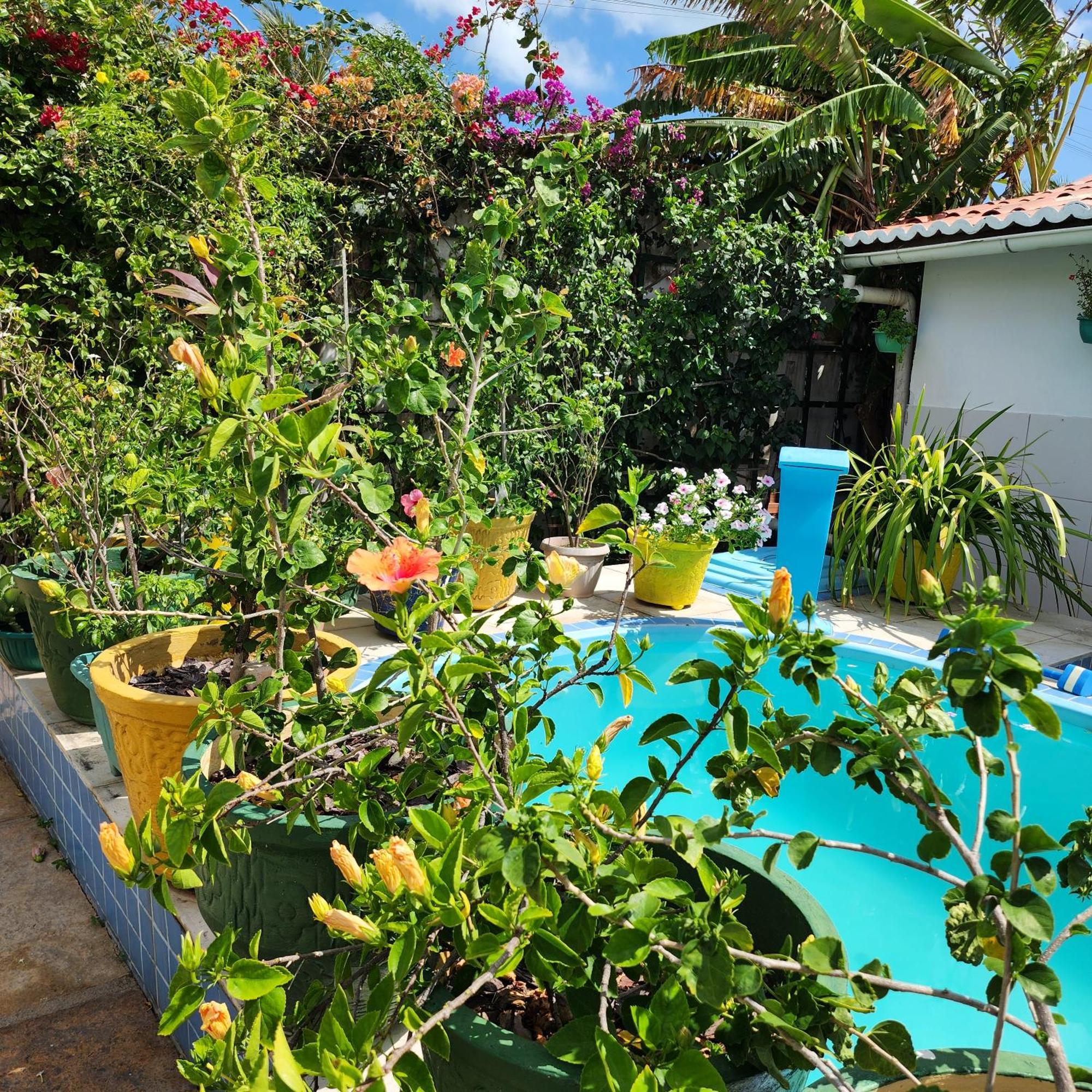 Mandala Dreams Pousada E Portal Holistico Maceio  Екстер'єр фото
