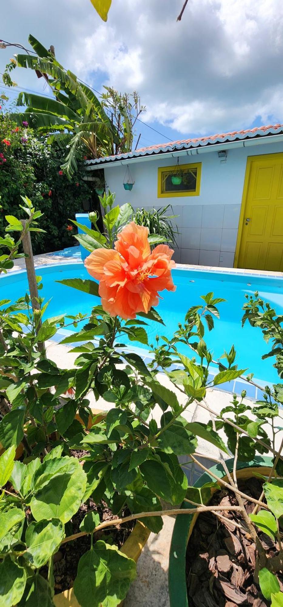 Mandala Dreams Pousada E Portal Holistico Maceio  Екстер'єр фото